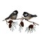 Two Chickadees on a Branch, Birds, Nature, Embroidered, Iron on Patch